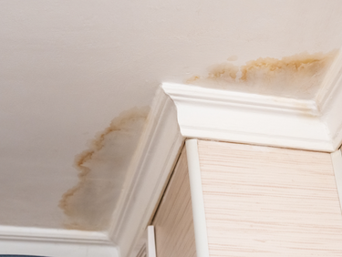 The Home Inspector’s Responsibility