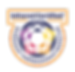InterNACHI Home Inspection Service Badges
