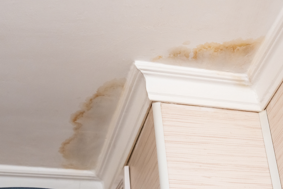 The Home Inspector’s Responsibility